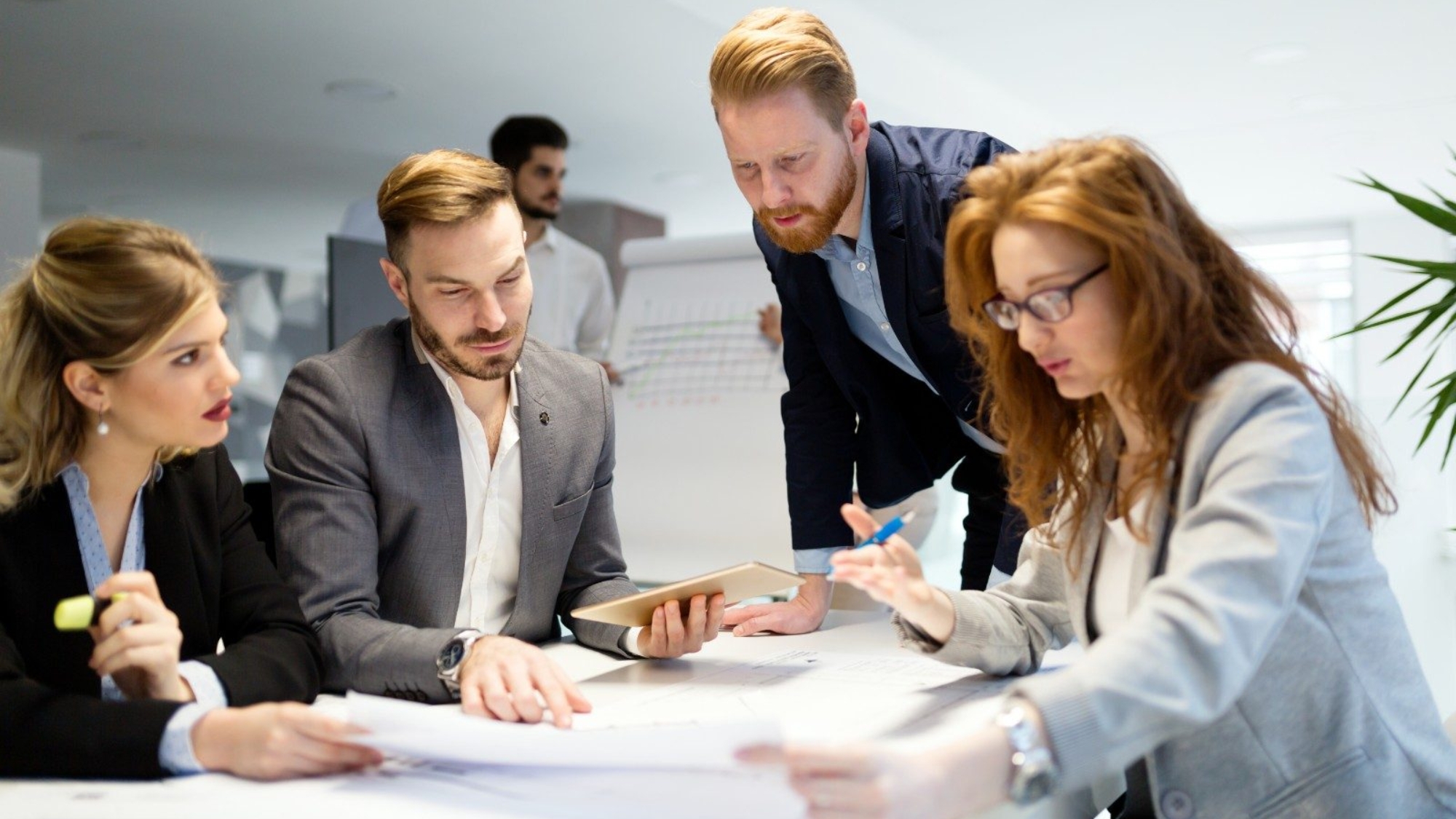 demo-attachment-503-business-people-working-together-on-project-and-B3MZ4TX